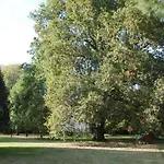 Domaine La Gazaille De Camille