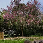 לינה וארוחת בוקר Domaine La Gazaille De Camille