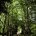 Domaine La Gazaille De Camille 3* Le Temple-sur-Lot