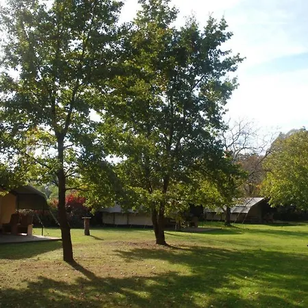 Domaine La Gazaille De Camille Bed & Breakfast Le Temple-sur-Lot