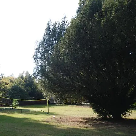 Domaine La Gazaille De Camille