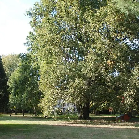 Domaine La Gazaille De Camille