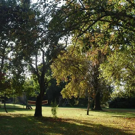 Domaine La Gazaille De Camille Le Temple-sur-Lot