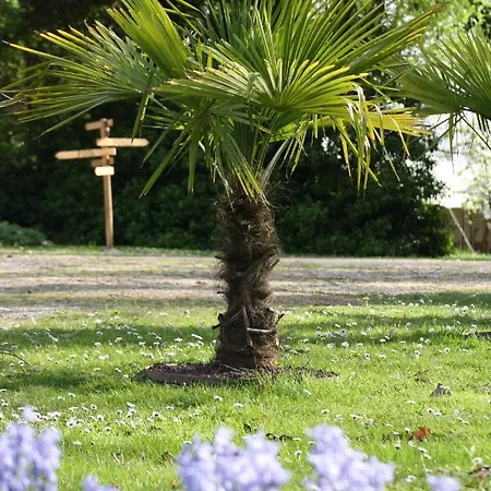 Domaine La Gazaille De Camille Bed & Breakfast