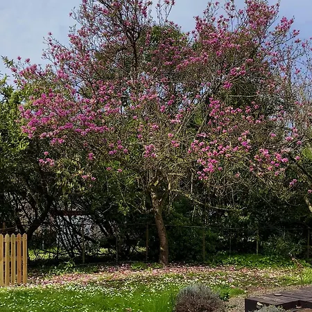 Bed & Breakfast Domaine La Gazaille De Camille