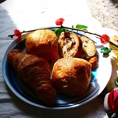 Domaine La Gazaille De Camille Bed & Breakfast *