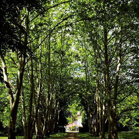 Domaine La Gazaille De Camille 3* Le Temple-sur-Lot