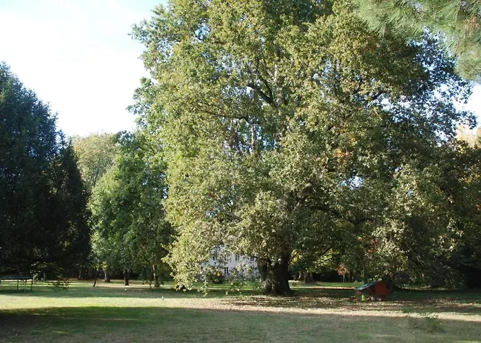 Domaine La Gazaille De Camille