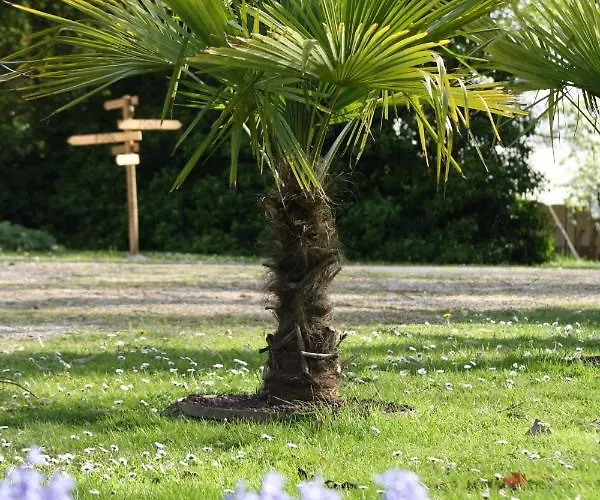 Domaine La Gazaille De Camille Oda ve Kahvaltı