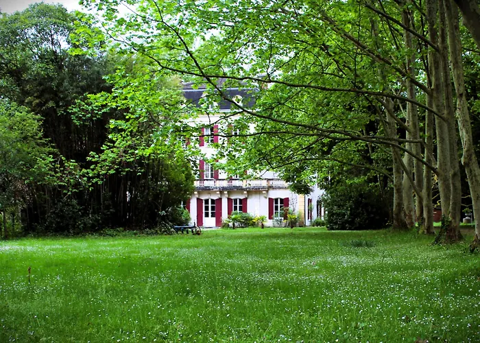 Domaine La Gazaille De Camille